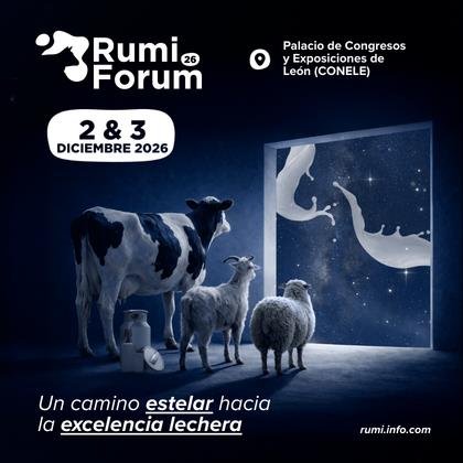 http://Rumiforum%202026