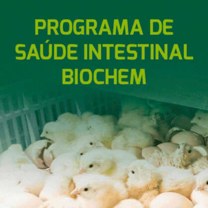 http://BIOCHEM