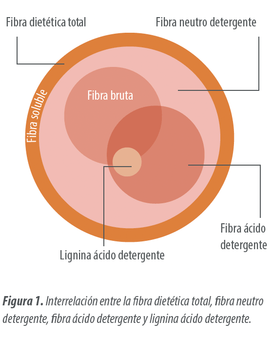 fig1