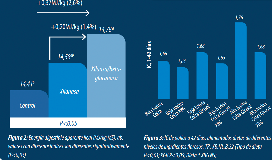 fig2y3