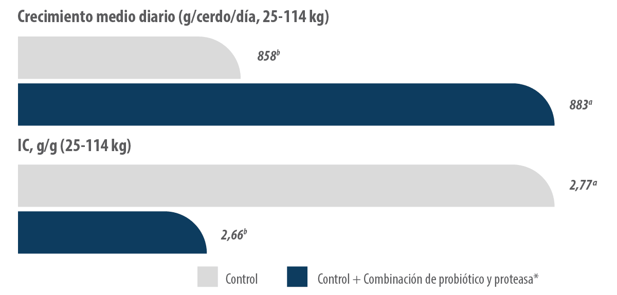 figura2 (1) (1)