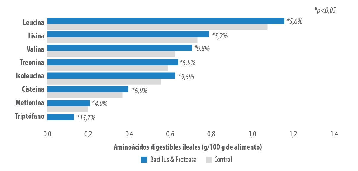 figura3 (1)