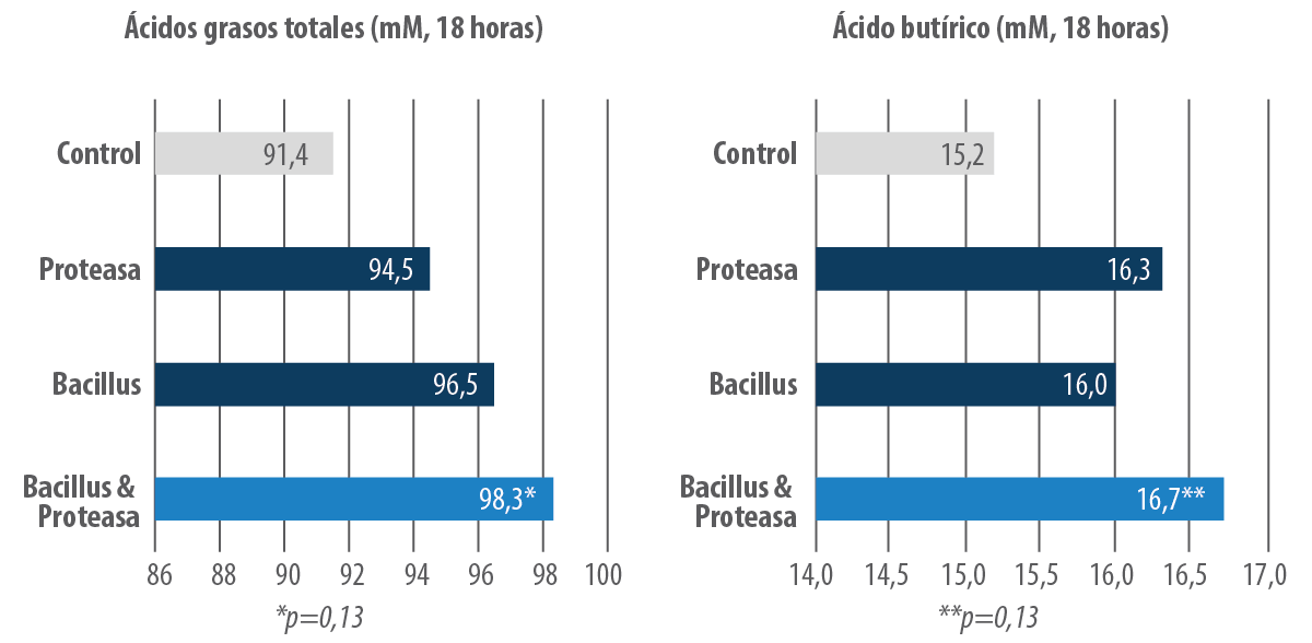 figura4 (1)
