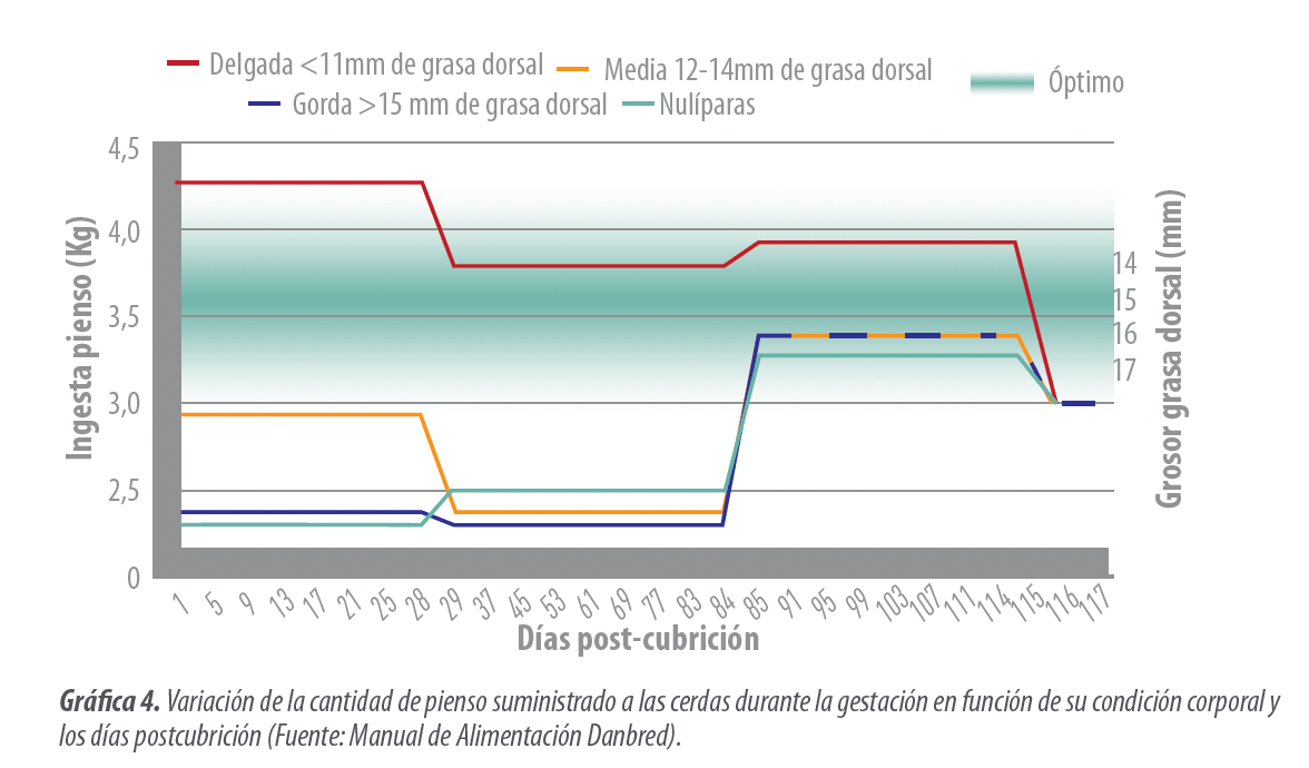 grafica4