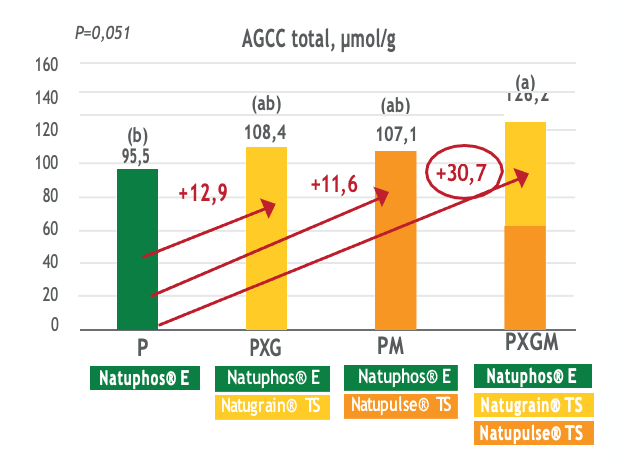 grafico-agcc