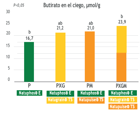 grafico-butirato