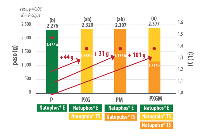 ic-grafico