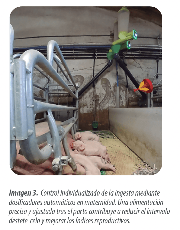 imagen3