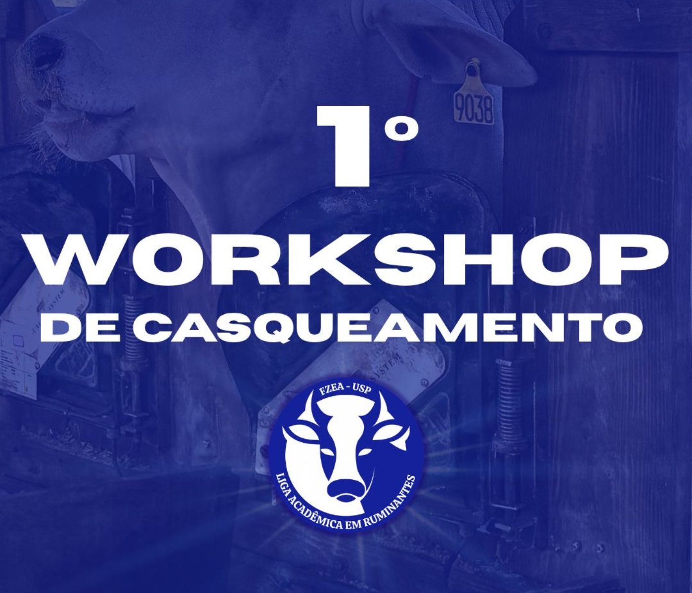 Liga Acadêmica da FZEA-USP promove 1º Workshop de Casqueamento em Pirassununga