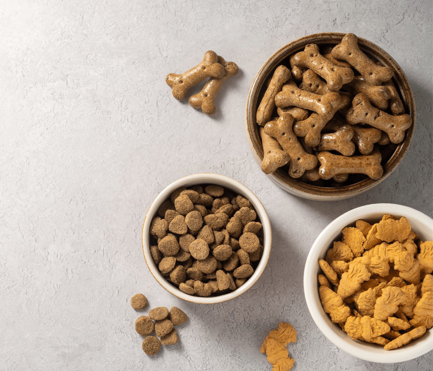 Nutrición animal también en el foco del Día Nacional de la Nutrición 2026