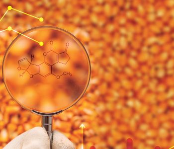 O Myco’Kingdom da Olmix é uma plataforma completa, com ferramentas desenvolvidas para ajudar nutricionistas e formuladores a gerenciar os riscos por micotoxinas de forma eficaz e moderna.