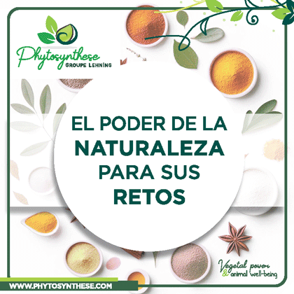 http://Phytosynthese