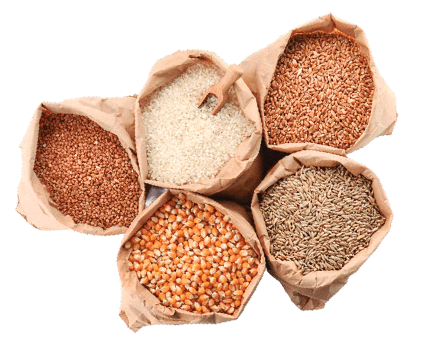 Aplicación de carbohidrasas en la alimentación animal