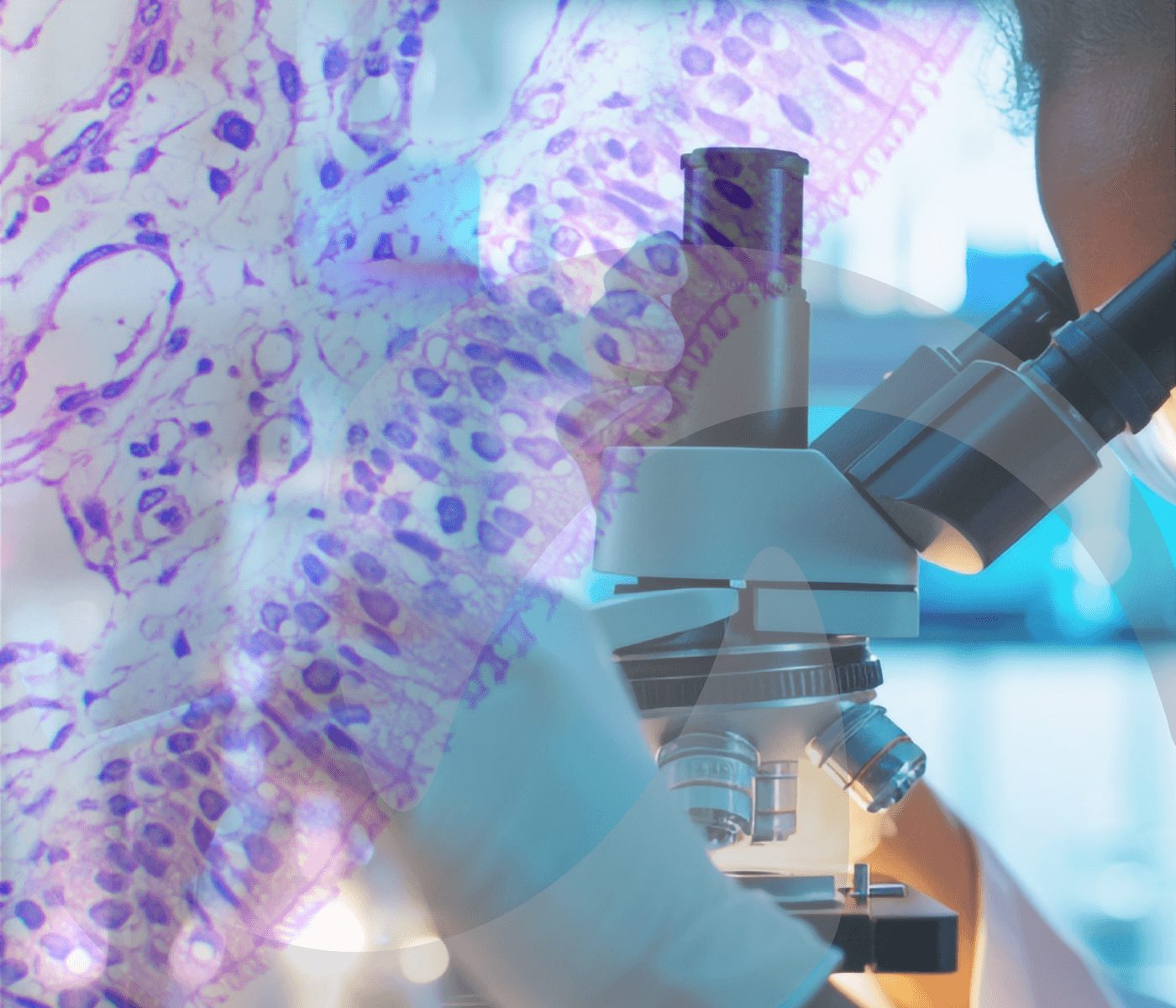 Anatomopatologia veterinária SAMITEC: evidências que elevam pesquisa e laudo