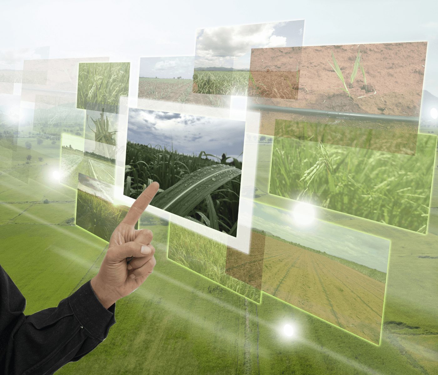Smart farming: la tecnología redefine la sostenibilidad del campo