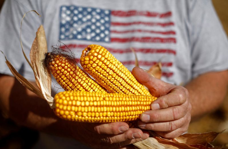 US corn exports gain ground in East Asia