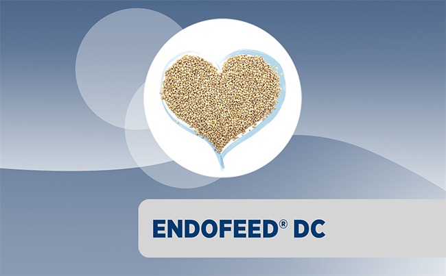 Endofeed