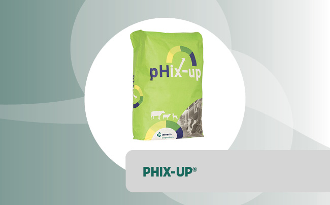 pHix-up