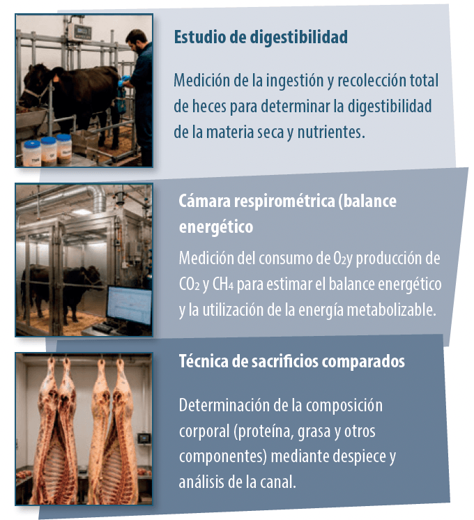figura 1