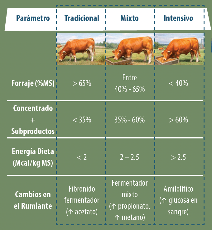 figura 4