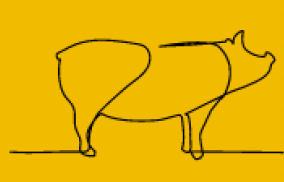Cerdo
