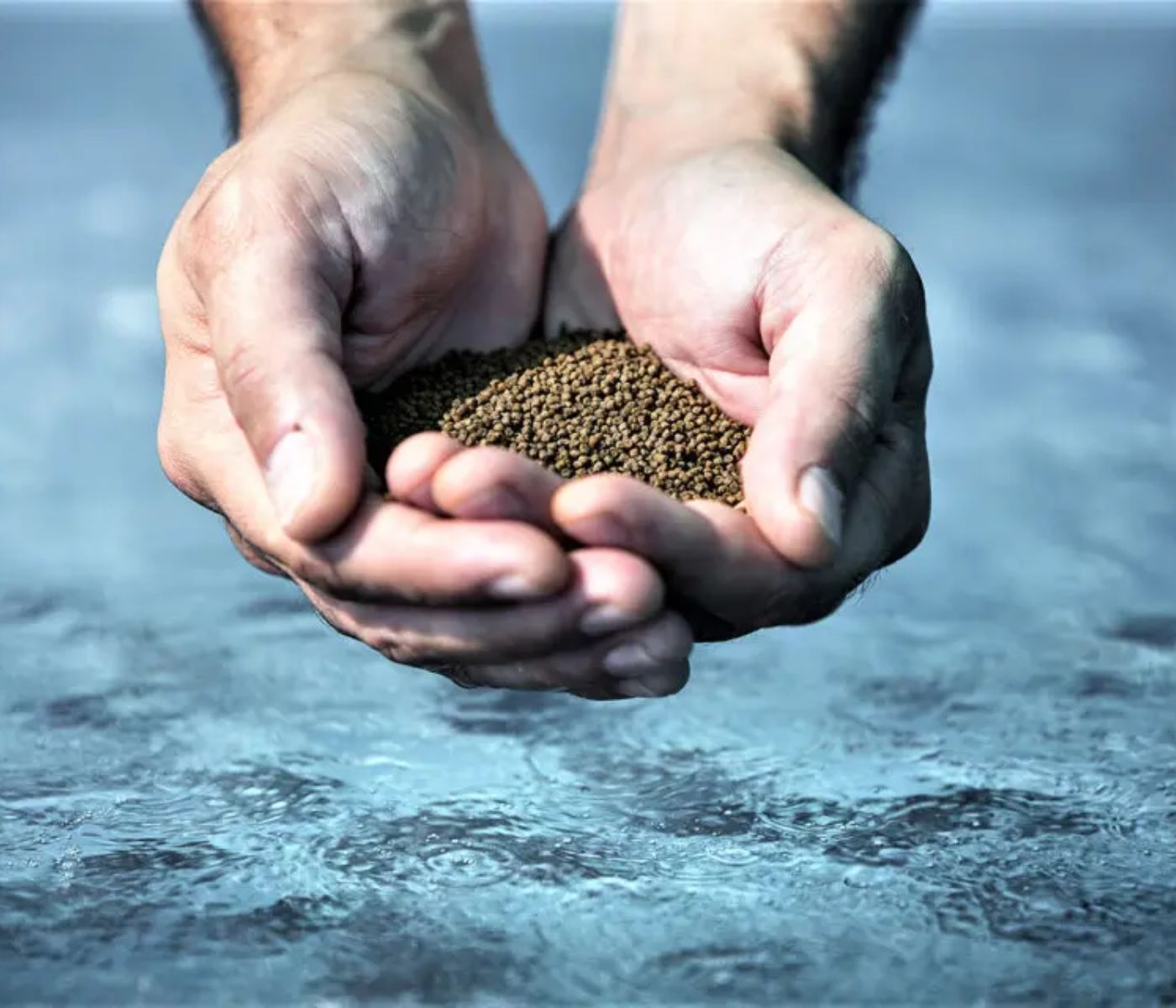 Rethinking Sustainable Aquafeed Ingredients