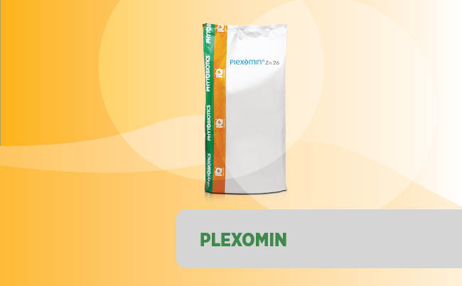 Plexomin Zn26