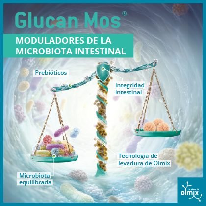 http://OLMIX%20Latam_Feb%202027