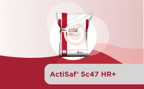 ActiSaf® Sc47 HR+