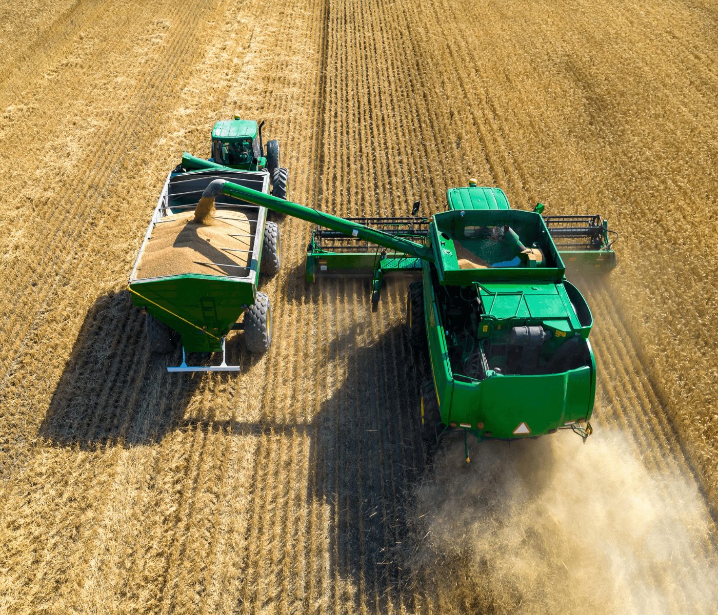 Argentina, tercero entre los mayores exportadores agropecuarios del mundo