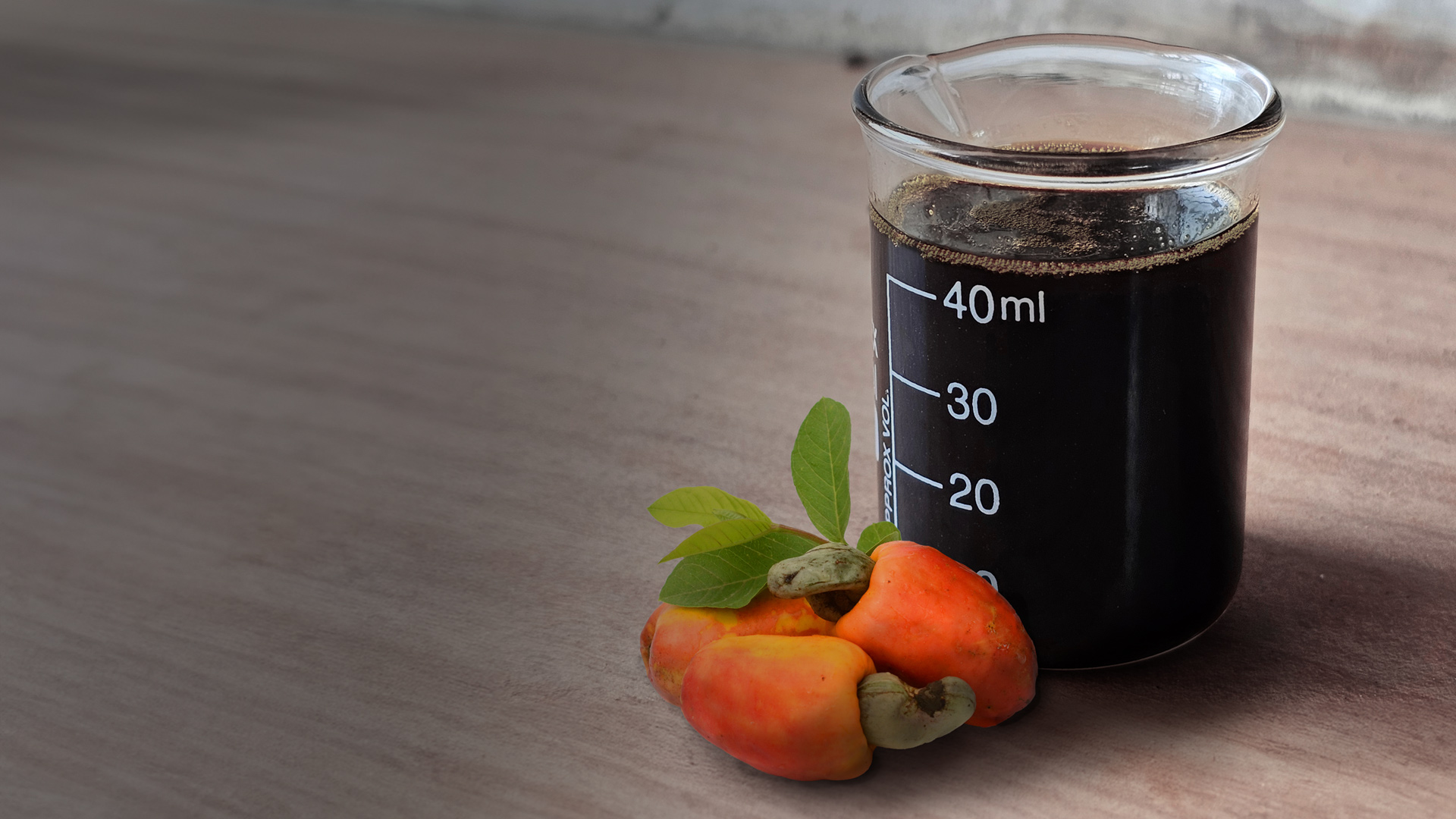 Cashew nut shell liquid mitigates enteric methane emissions