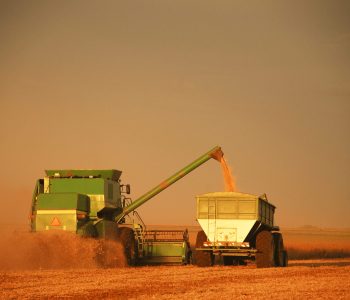 La cosecha de cereal en España cae un 29% tras récord de 2025