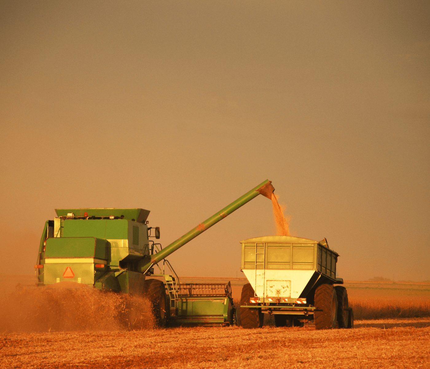 La cosecha de cereal en España cae un 29% tras récord de 2025