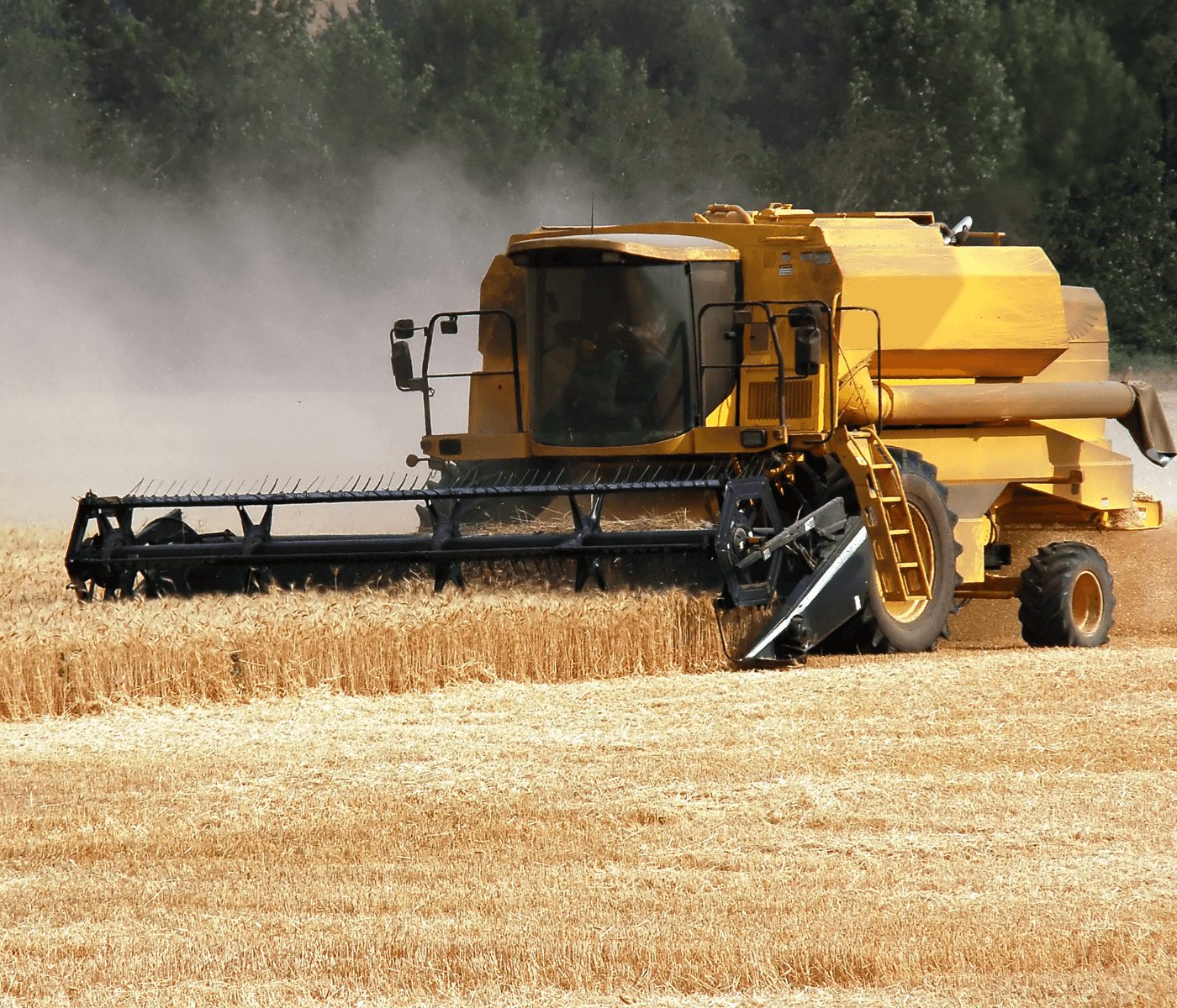 Récord de trigo argentino: producción cercana a 25 millones de toneladas