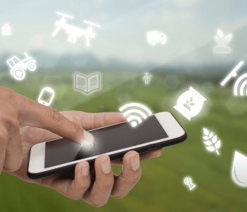 digitalizacion