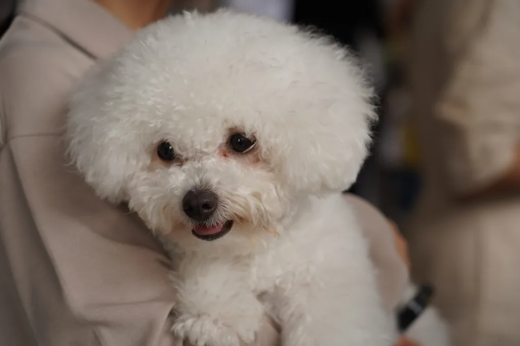 Chulalongkorn University hosts seminar on proper nutrition for dogs and cats
