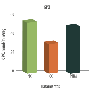 Figura 5. Efectos de la suplementación polibotánica sobre los niveles de la enzima antioxidante GPX en el yeyuno de pollos de engorde expuestos a Eimeria.