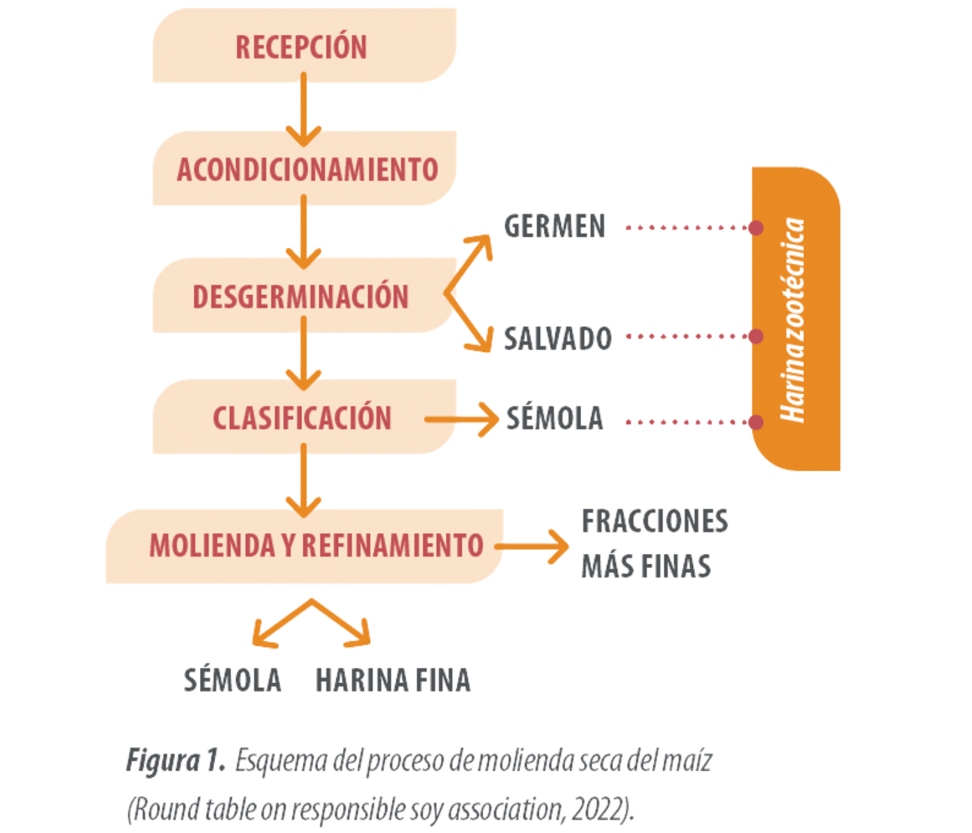figura 1 