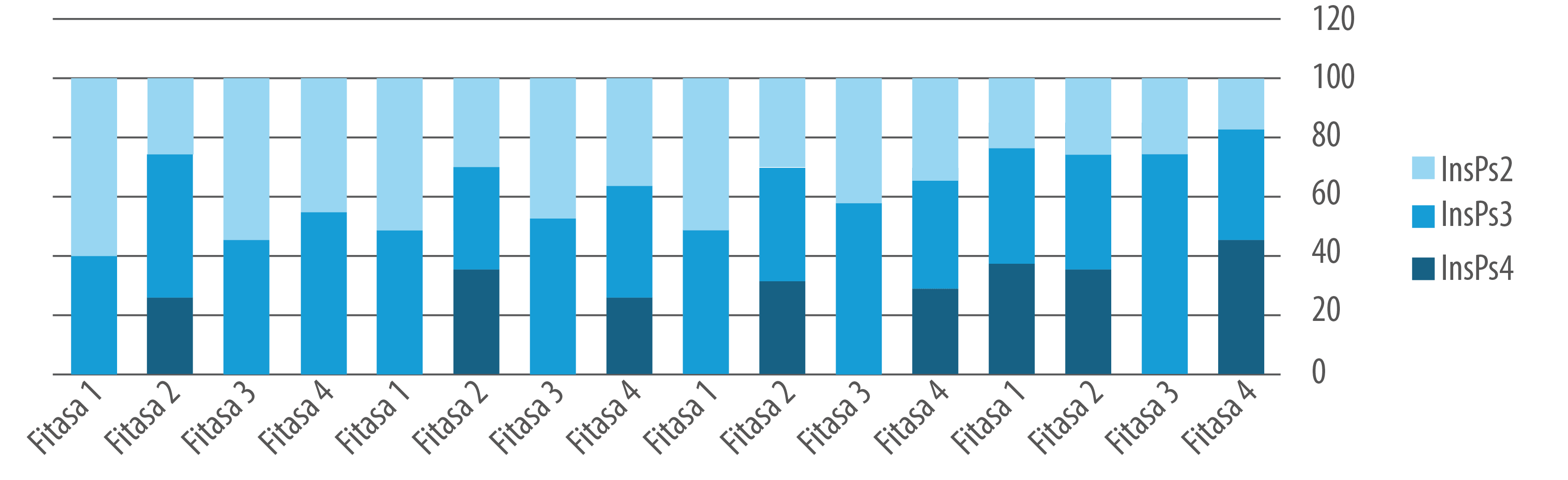 grafico1 