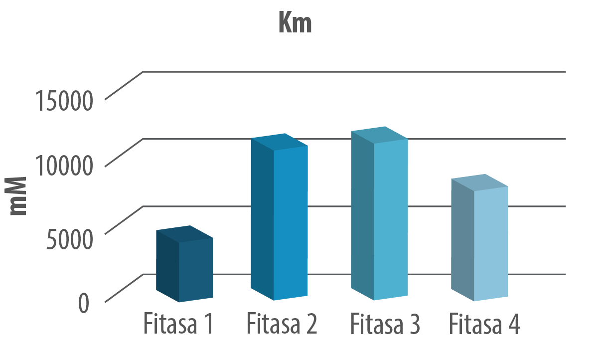 grafico3