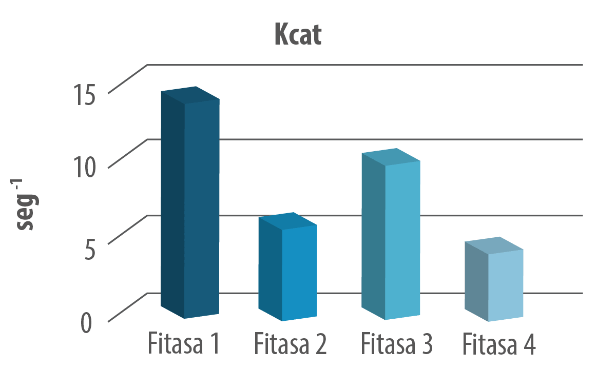 grafico4