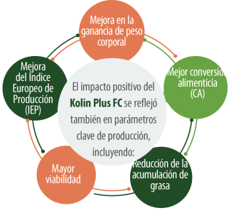 Kolin Plus FC