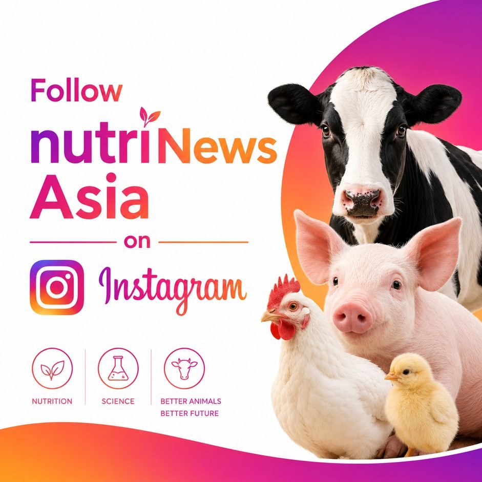 http://Instagram%20nutriNews%20Asia