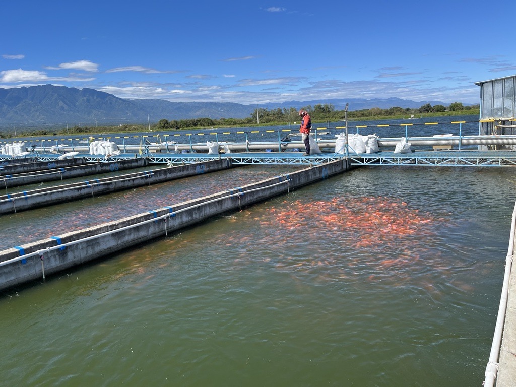 IPRS 101: Precision aquaculture begins with precision management