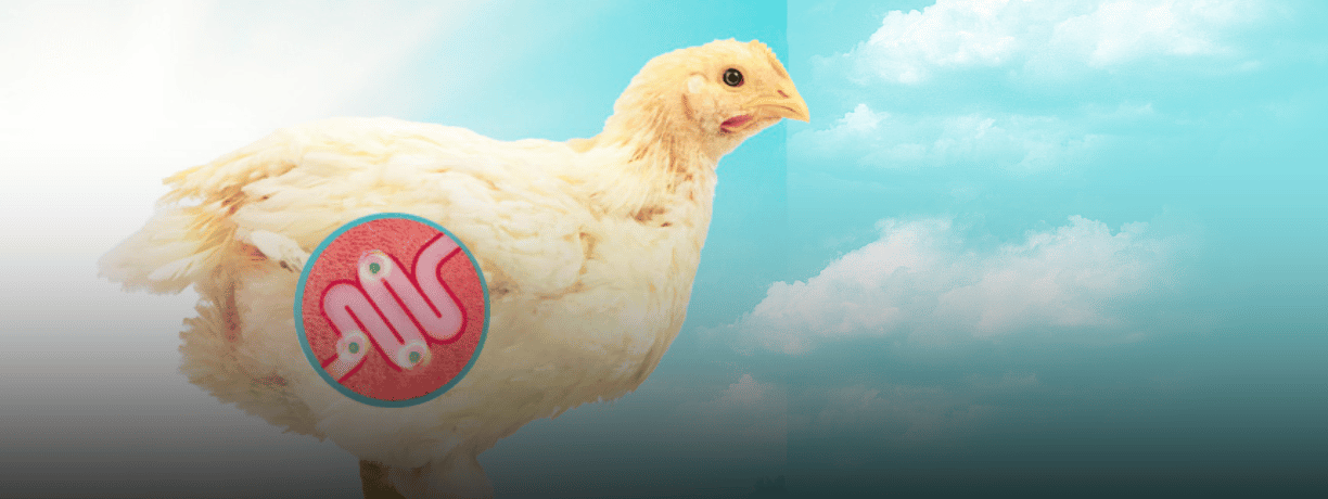 DESCUBRE PEPTASAN™ – EQUILIBRIO INTESTINAL, ¡NATURALMENTE!