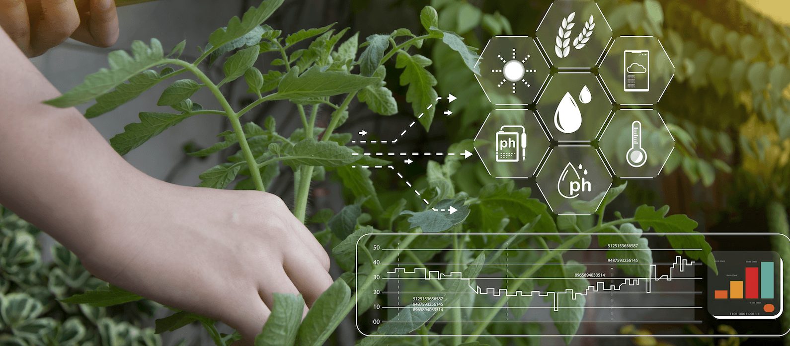 planta-tecnologia