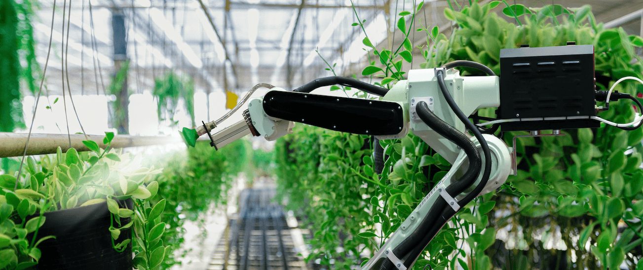 robot-agricola3