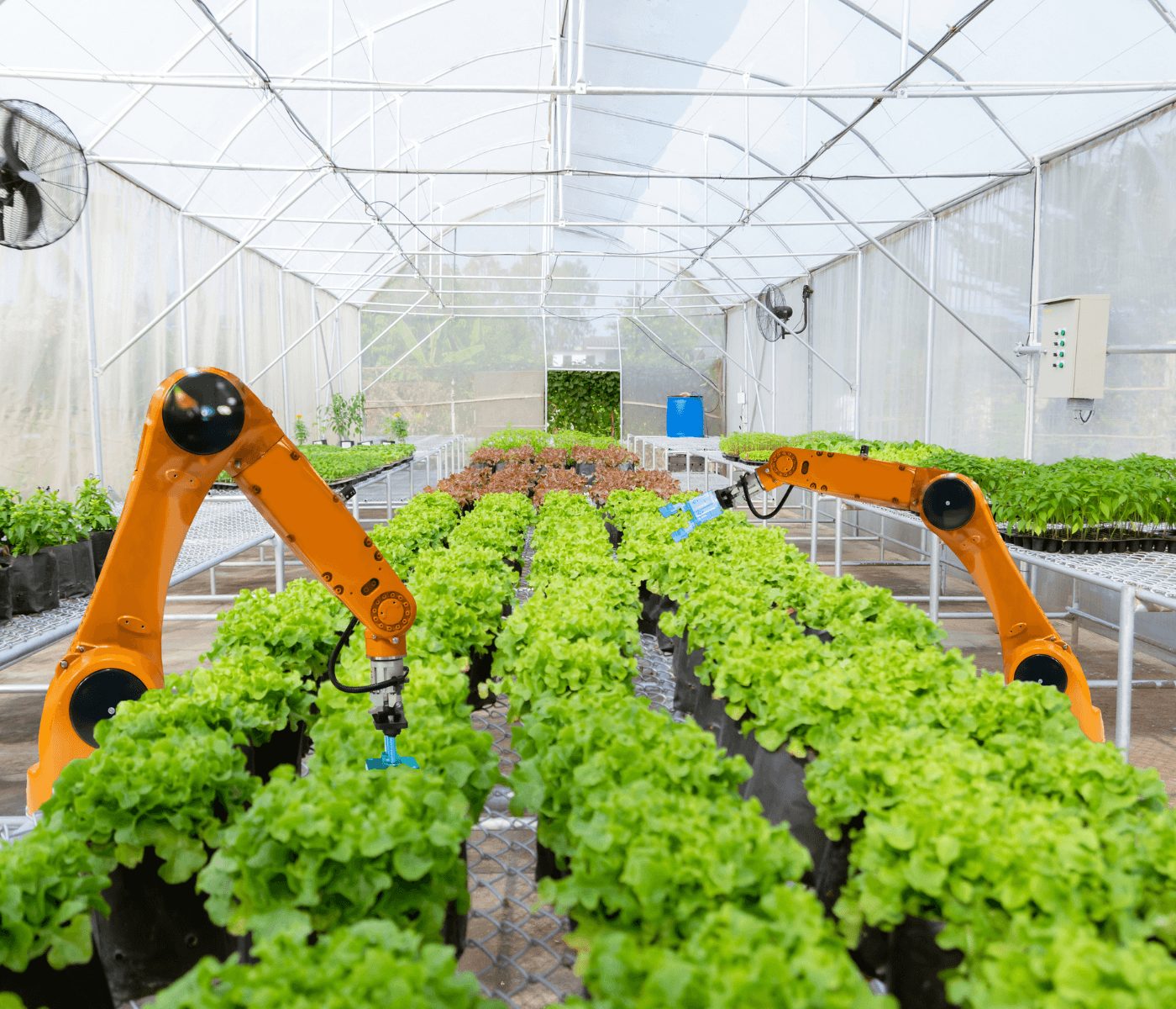 Robots agrícolas: la nueva era tecnológica que transforma el campo