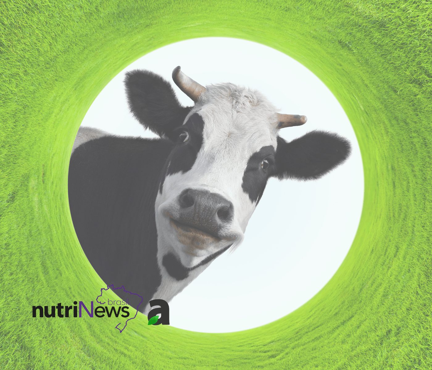 Microbiota intestinal e seu papel nas doenças metabólicas em vacas leiteiras