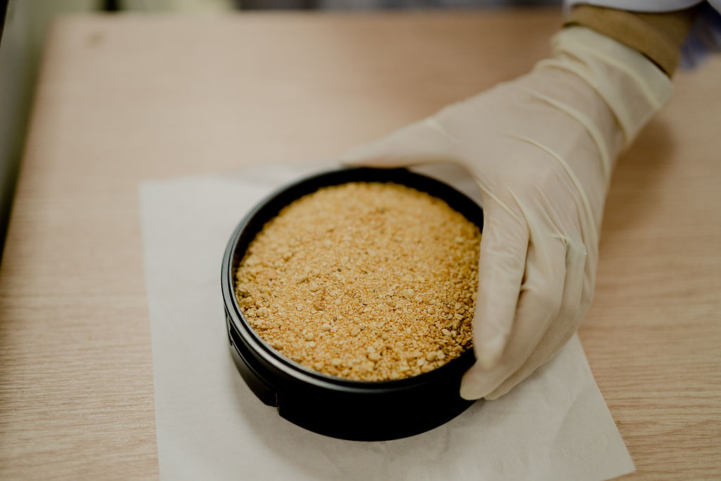 US Soy protein concentrate can replace fish meal in European sea bass diets